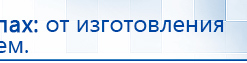 НейроДэнс ПКМ купить в Березники, Аппараты Дэнас купить в Березники, Скэнар официальный сайт - denasvertebra.ru